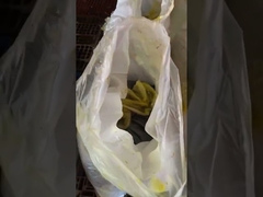 ferric chloride anhydrous